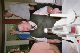 imm023_23A