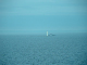 DSCF0124