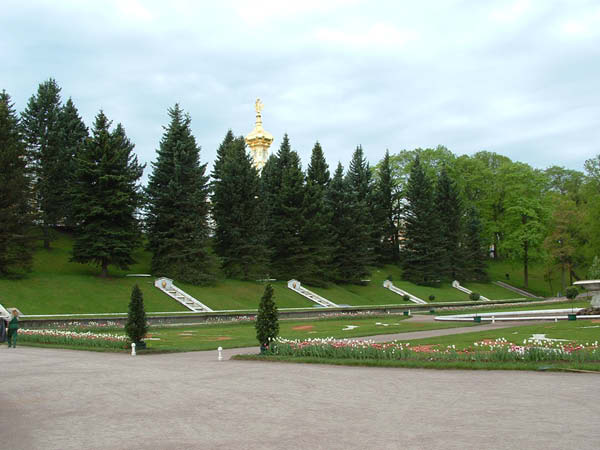 DSCF0233