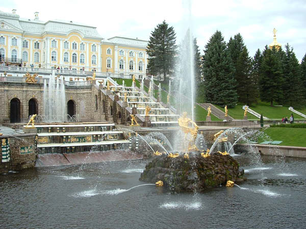 DSCF0241
