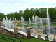 DSCF0238